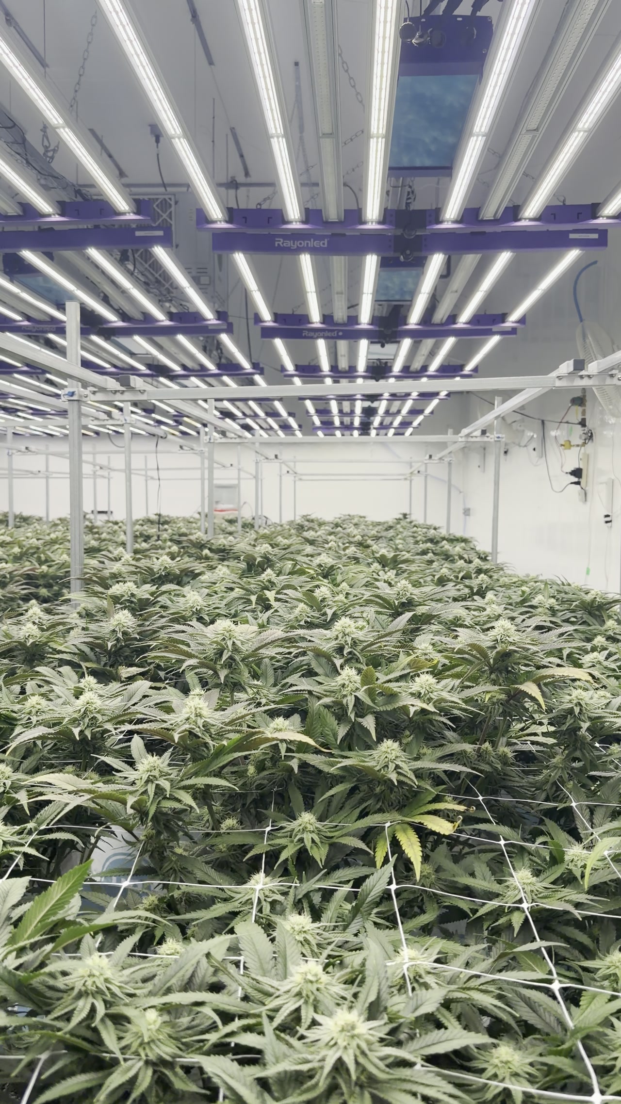 Vue d'ensemble de la facility Château Bloom